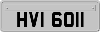 HVI6011