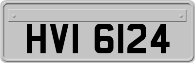 HVI6124