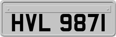 HVL9871
