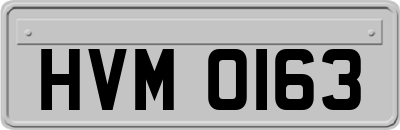 HVM0163