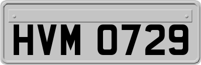 HVM0729