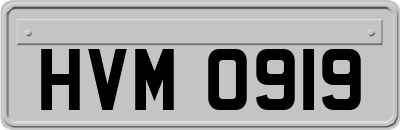 HVM0919