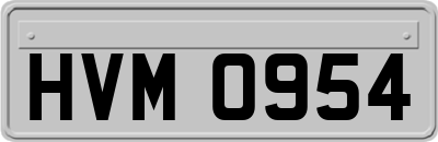 HVM0954