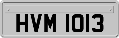 HVM1013