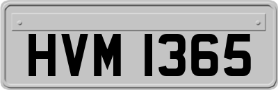 HVM1365