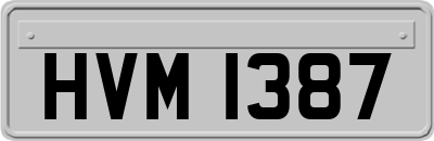 HVM1387
