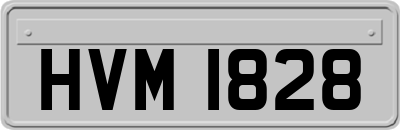 HVM1828