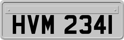 HVM2341