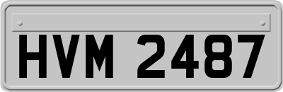 HVM2487