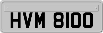 HVM8100