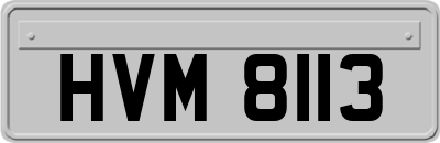 HVM8113