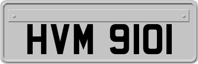 HVM9101