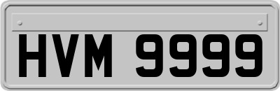 HVM9999
