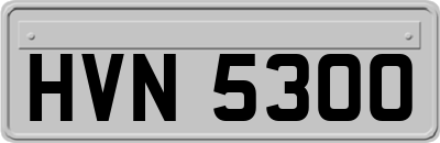 HVN5300