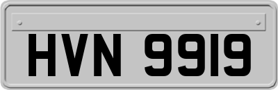 HVN9919