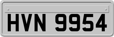 HVN9954