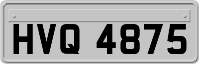 HVQ4875