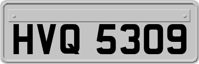 HVQ5309