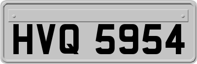 HVQ5954