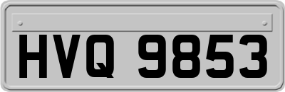HVQ9853