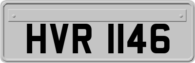 HVR1146