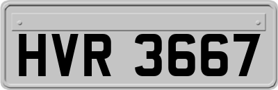HVR3667