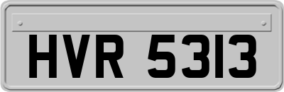 HVR5313