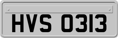 HVS0313