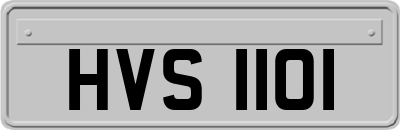 HVS1101