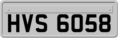 HVS6058