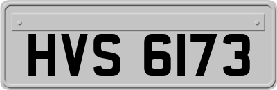 HVS6173