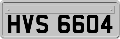 HVS6604