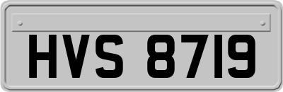 HVS8719