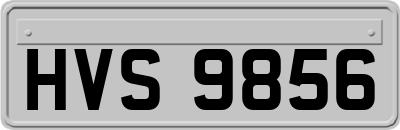 HVS9856