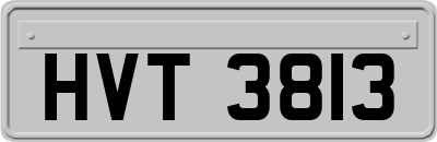 HVT3813
