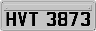 HVT3873