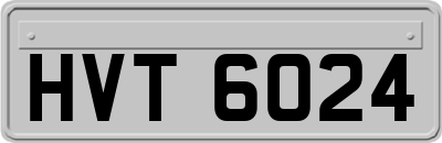 HVT6024