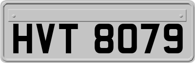 HVT8079