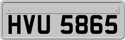 HVU5865