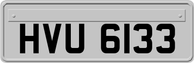 HVU6133