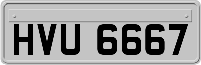HVU6667