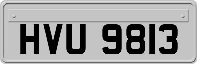 HVU9813