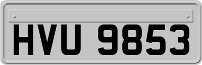 HVU9853