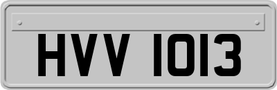 HVV1013