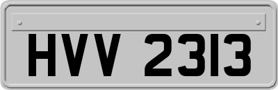 HVV2313