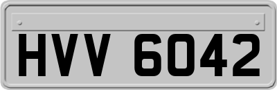 HVV6042