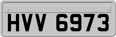 HVV6973