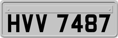 HVV7487