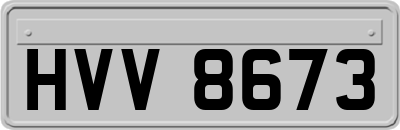HVV8673