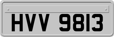 HVV9813